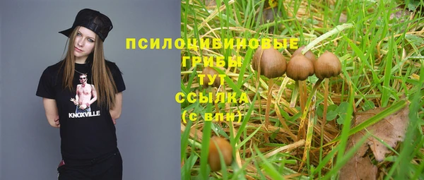 jwh Абаза