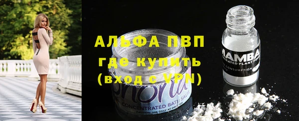 гашик Абинск